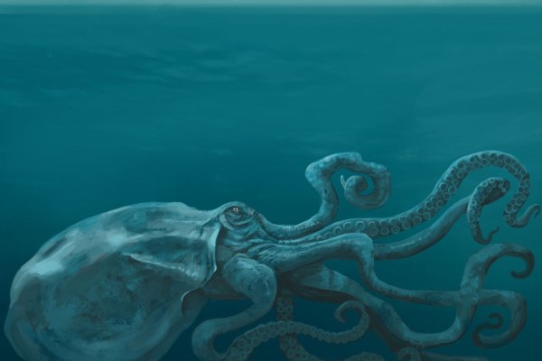 Kraken 2 зеркало